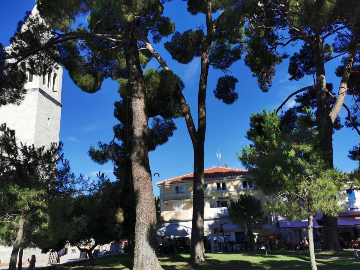 Rio B&B, 5 Stars Superior Room, Near The Sea And Park Novigrad Istria エクステリア 写真